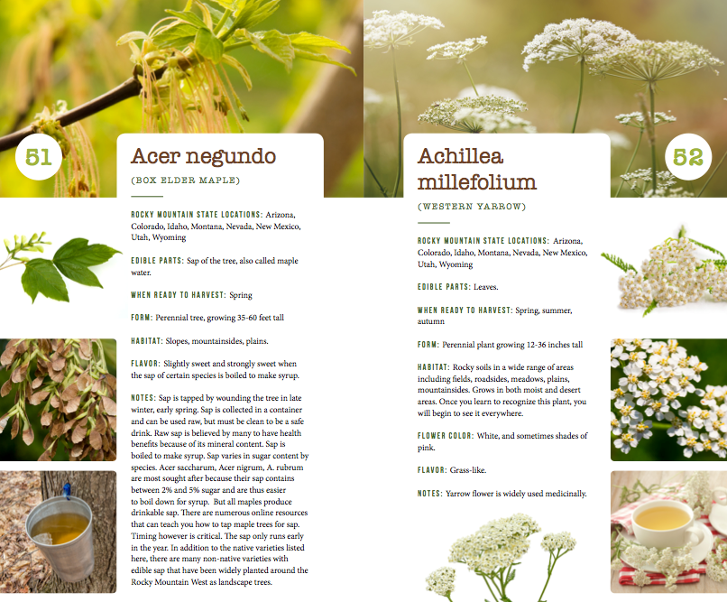 437 Edible Wild Plants of the Rocky Mountain West