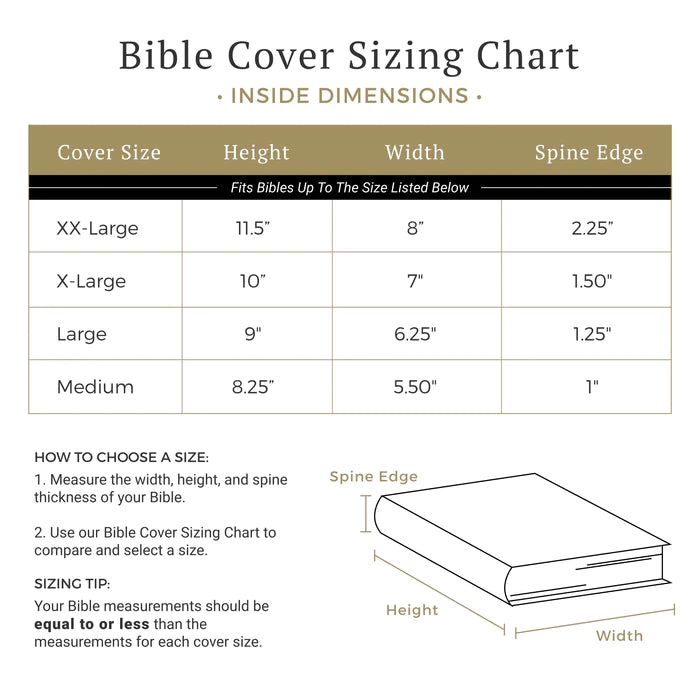 DIVINITY BOUTIQUE DIVINE DETAILS: BIBLE COVER - HUMMINGBIRD - ROMANS 12:12