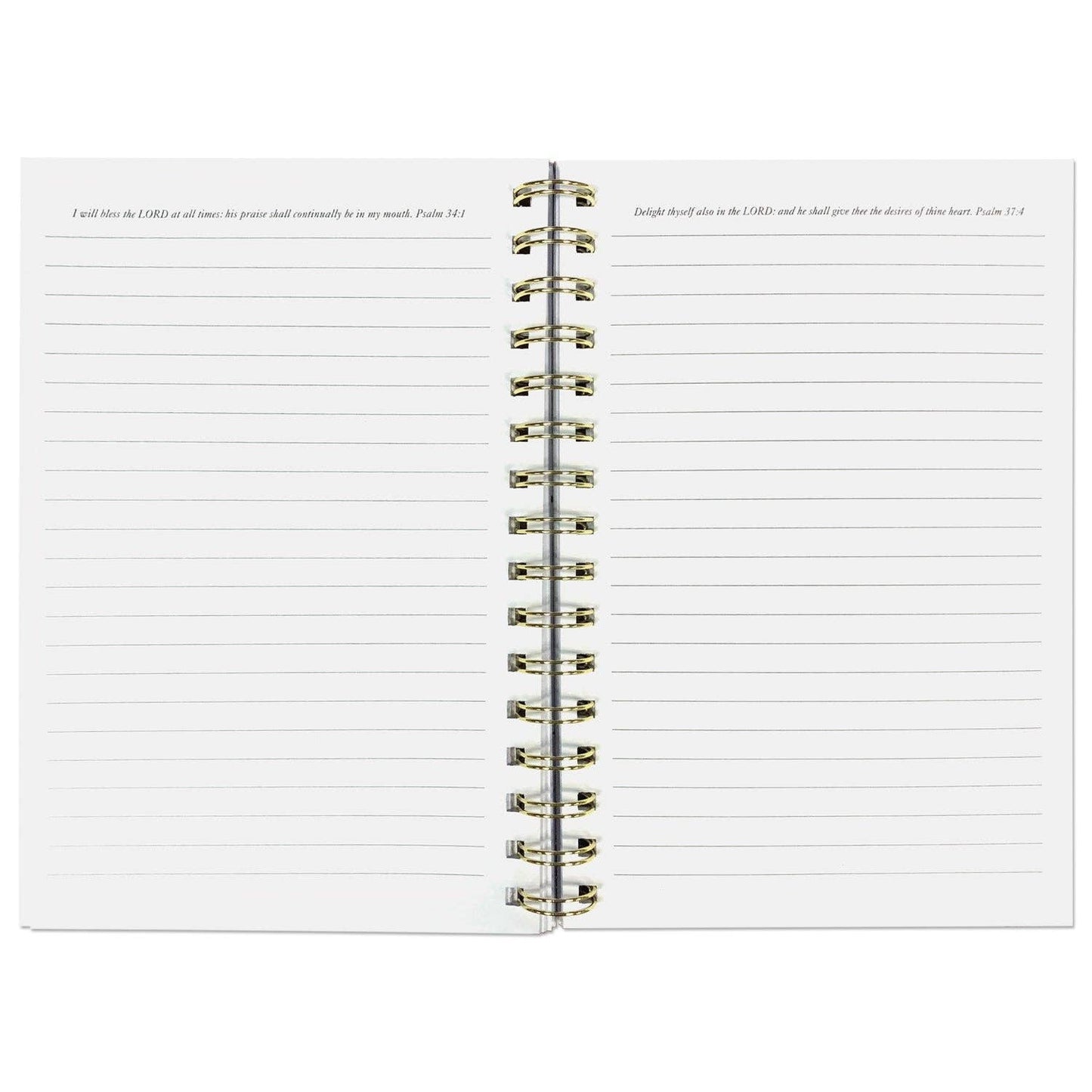 Power in the Name of Jesus Journal